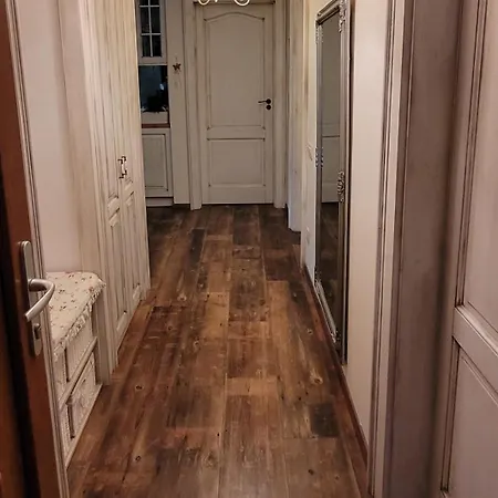 Oereghegyi Apartment