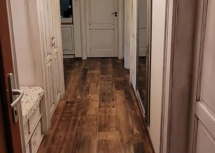 Oereghegyi Apartment